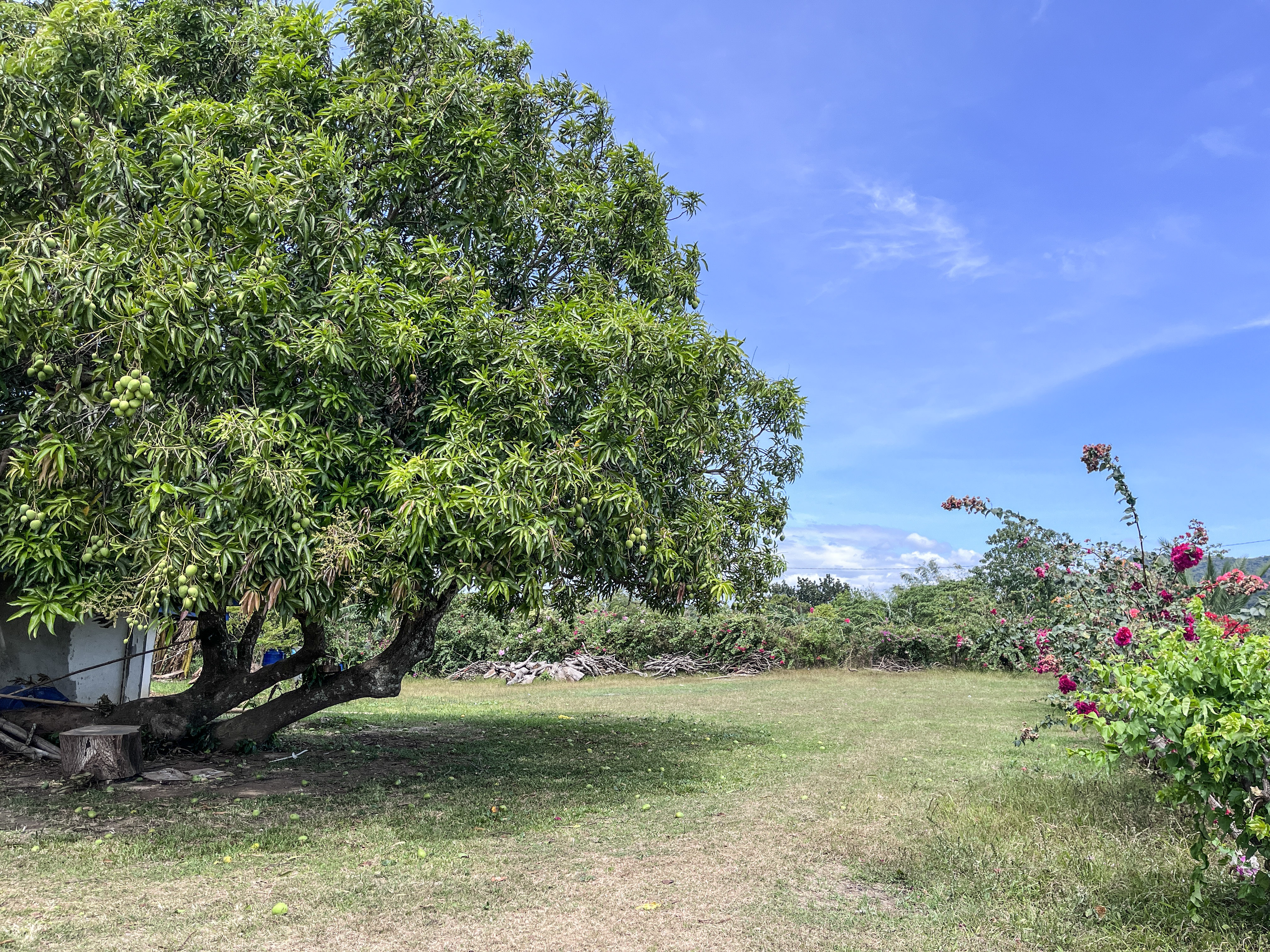 Farm Lot FOR SALE!!! Nasugbu, Batangas